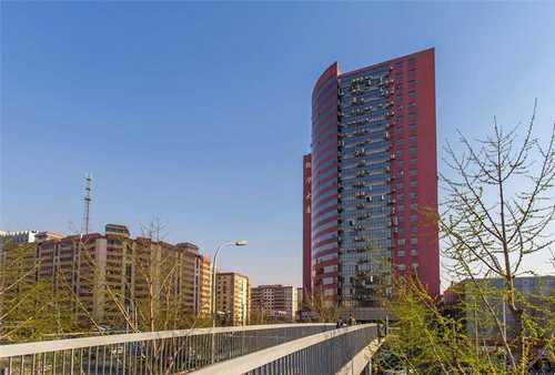 烟台达利园塑料提手哪家好