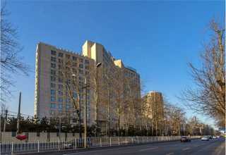 青浦区实木PVC运动地板工程施工