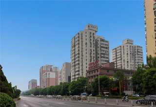 赵县本地网络销售