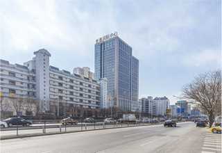 高新区市场咨询